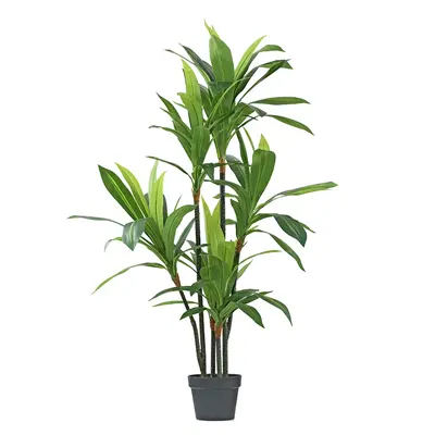 Dracaena Plant 125cm