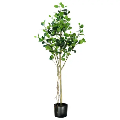 Ficus Tree - 150cm