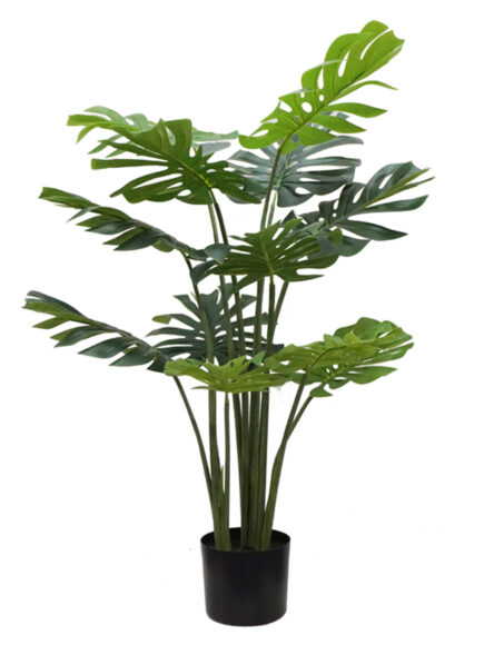 Monstera Pot Plant - 120cm