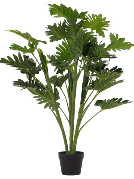 DNA Delicious  Monster In Pot 95cm