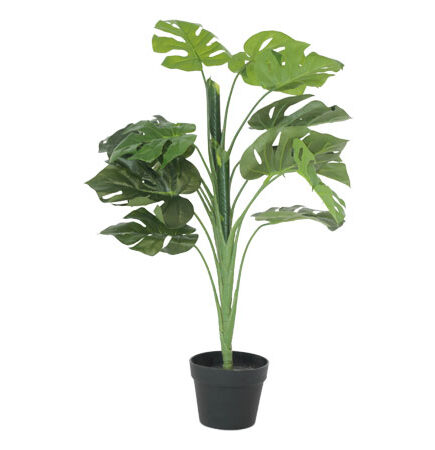 DNA Delicious Monster Plant 90cm