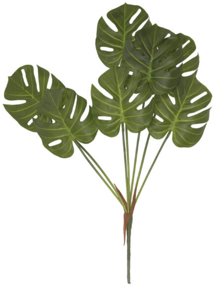 Delicious Monster Bunch 70cm