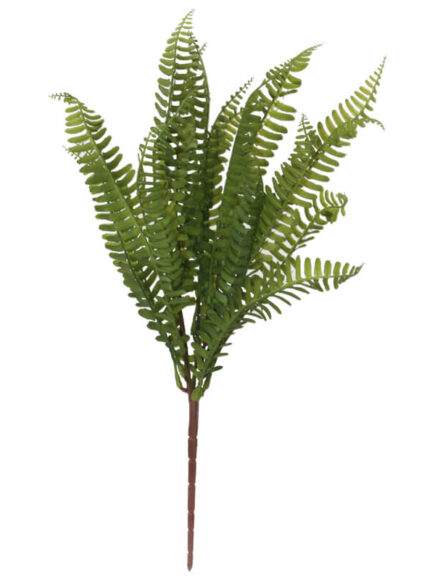 Fern Bunch 47cm