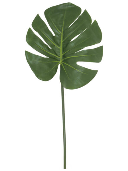 Delicious Monster Leaf 82cm