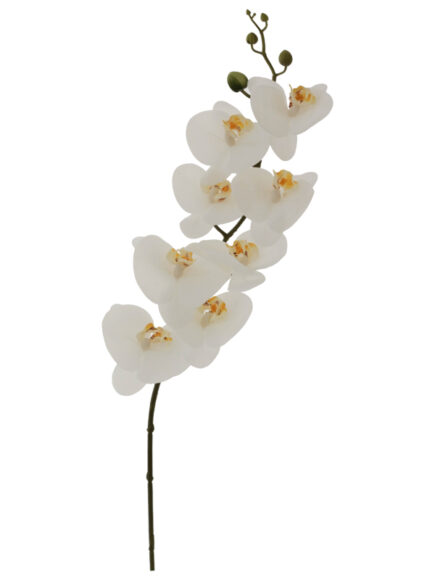 White Orchid 88cm