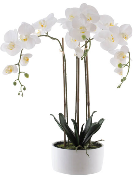 Real Touch WhiteOrchid In Pot 60cm